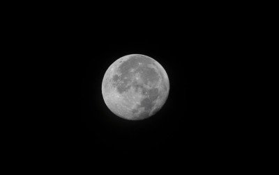 Lua do Cervo chama atenção no céu em julho; descubra o significado e quando ver