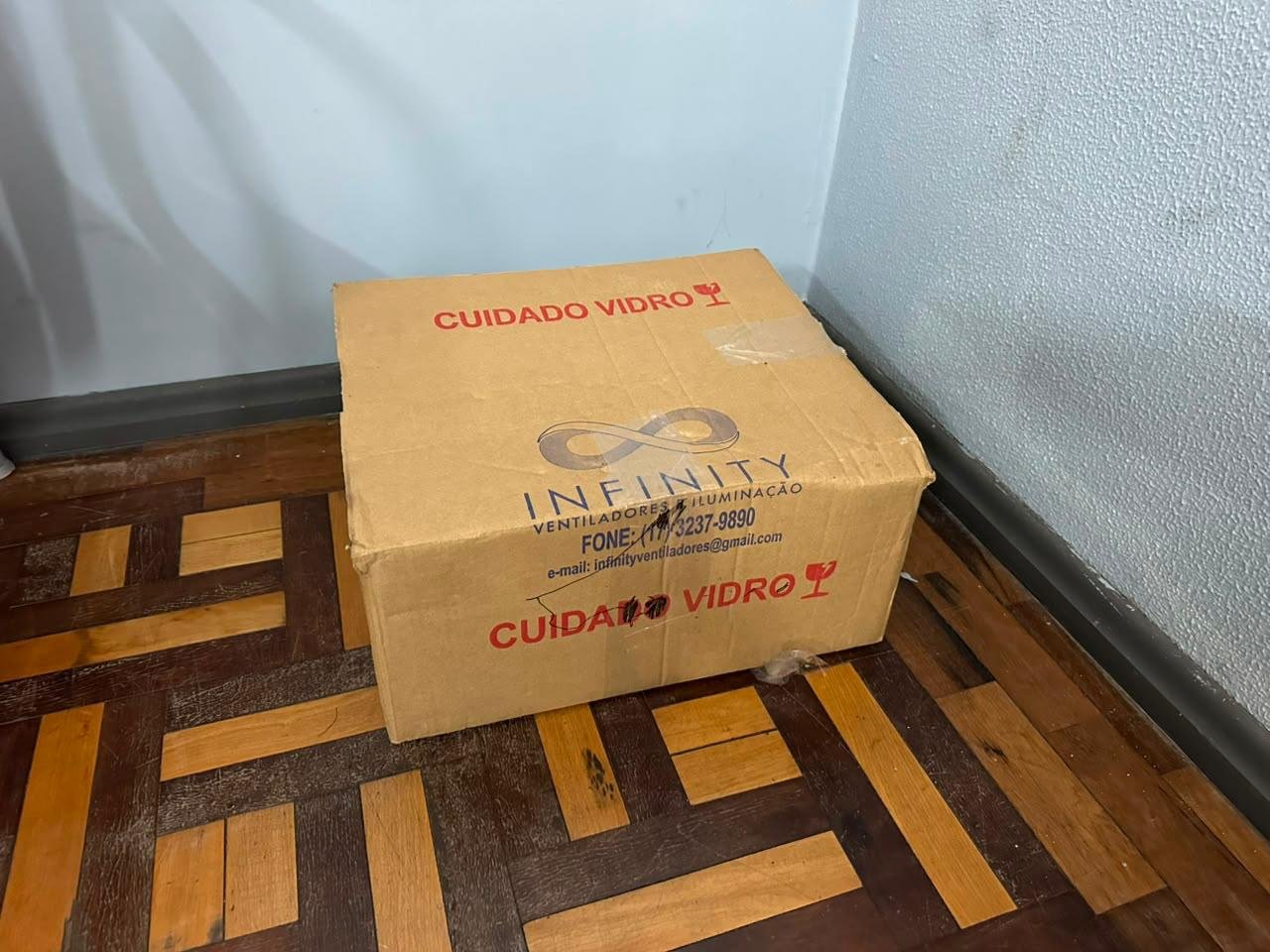 “Fiquei indignada”: Mulher revela o que motivou envio de caixa com cachorro morto a vereadora