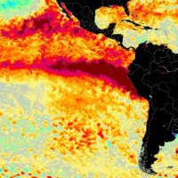 Projeções para El Niño causam espanto e há chance de atingir "condições jamais vistas pela ciência"