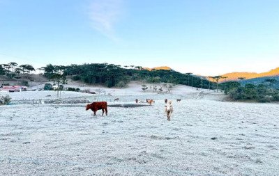 Santa Catarina volta a congelar com -6°C; veja as cidades com frio abaixo de zero