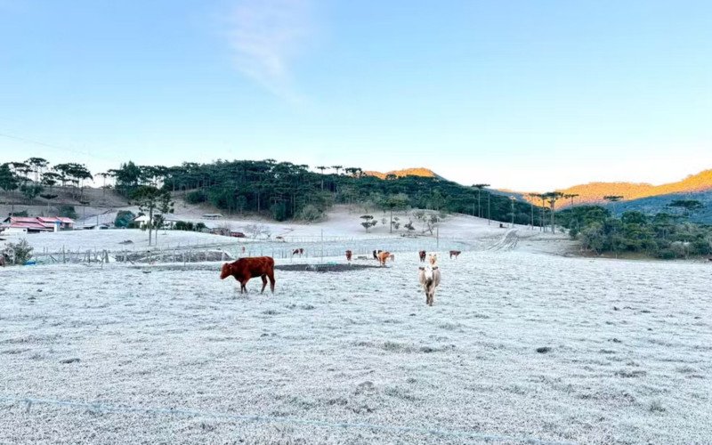 Urubici teve geada e temperatura mínima congelante | abc+
