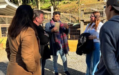 Defensoria Pública de Gramado faz inspeção no Canil Municipal e abrigo passará por mudanças; entenda