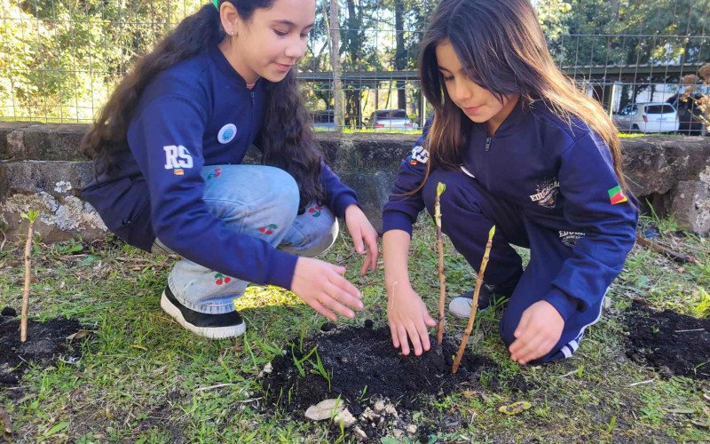 Projeto Hortênsia conclui primeira etapa com mais de 300 alunos envolvidos e plantio de 220 mudas em Gramado
