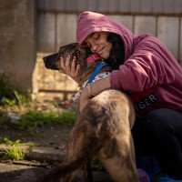 "Reconheci o olhar": Dois anos após enchente, família de Canoas reencontra cachorro perdido; veja momento emocionante