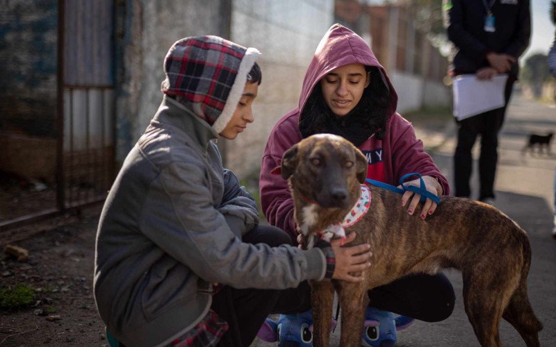 Reencontro de tutora com cão resgatado durante a enchente