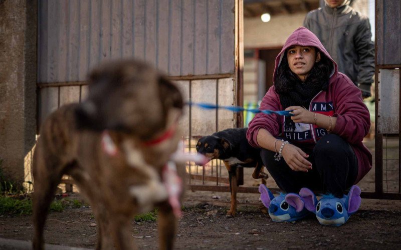 Reencontro de tutora com cão resgatado durante a enchente