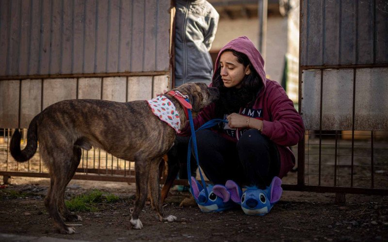 Reencontro de tutora com cão resgatado durante a enchente
