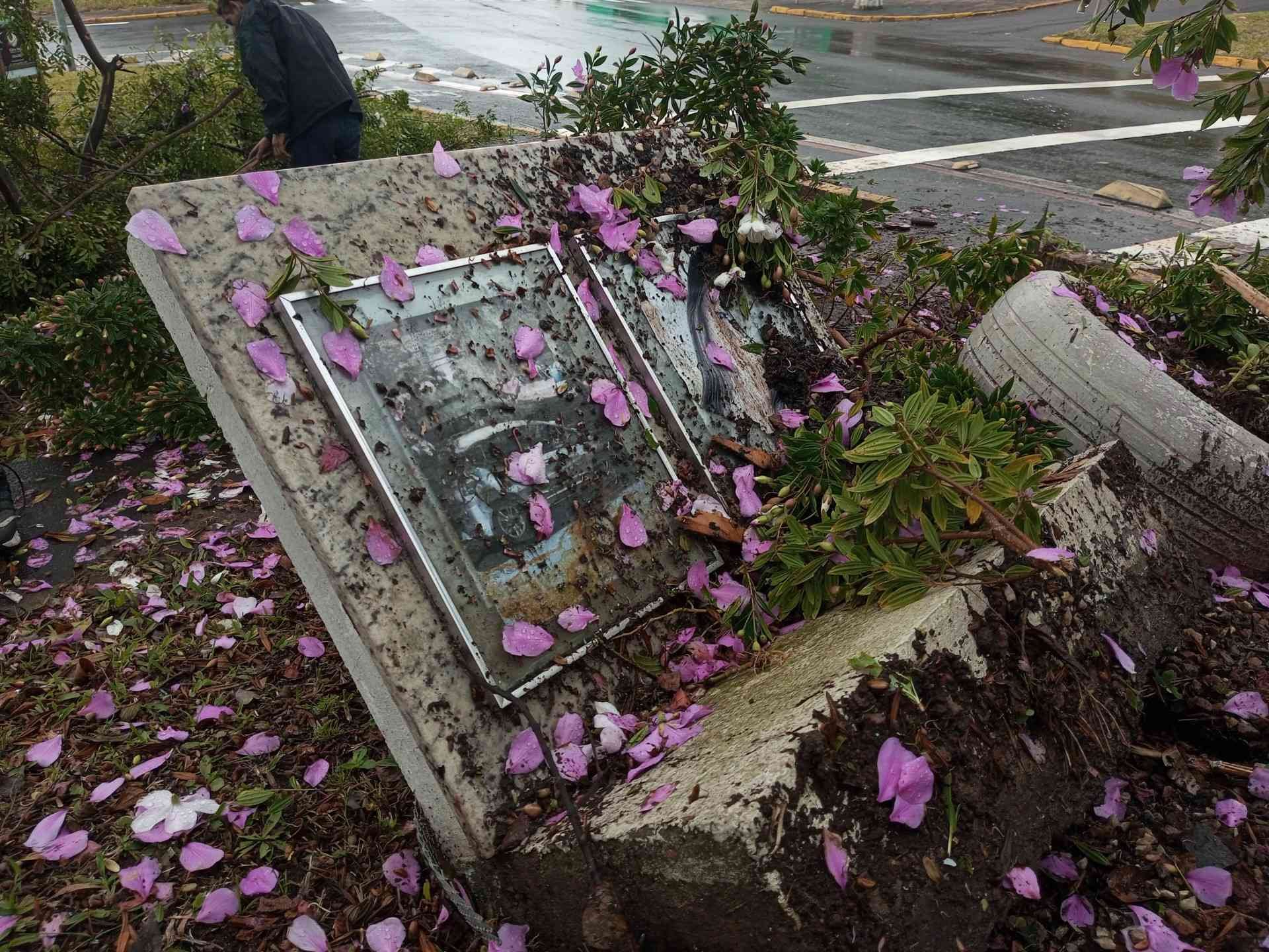 Motorista foge após capotamento em Novo Hamburgo; acidente destruiu memorial de jovem morta por motorista embriagada
