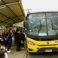 Sogal reforça frota com os antigos ônibus amarelos que custavam mais caro em Canoas