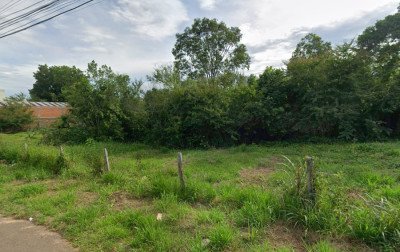 Corpo de homem é encontrado em área de mata em Parobé