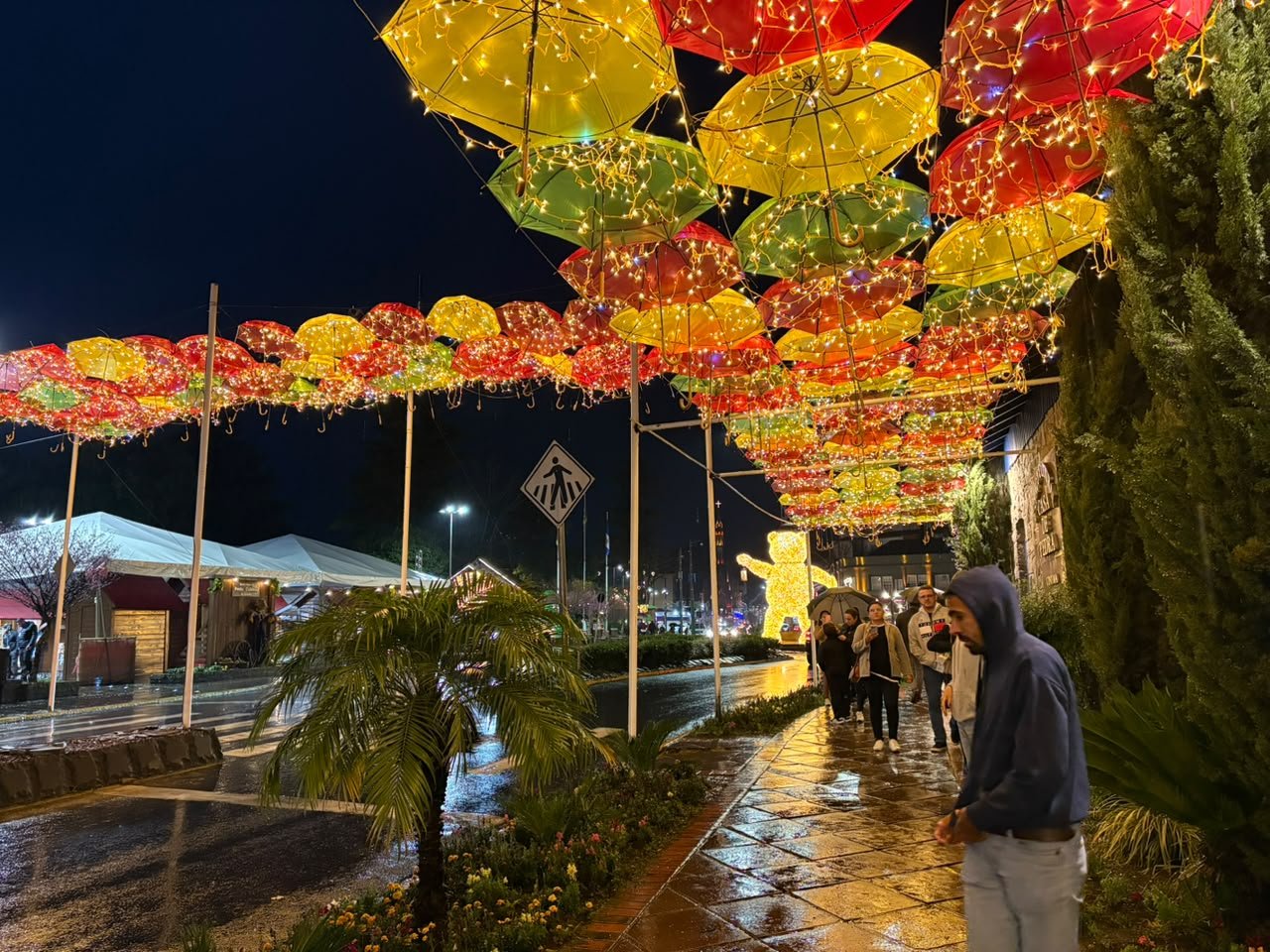 Temporada de Inverno terá apresentações musicais e casinhas de artesanato em Canela