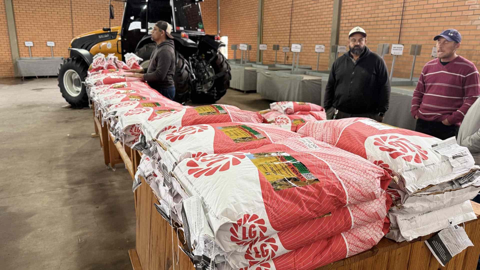 Prefeitura de Gramado e Emater realizam entrega gratuita de sementes pelo Programa Milho 100%