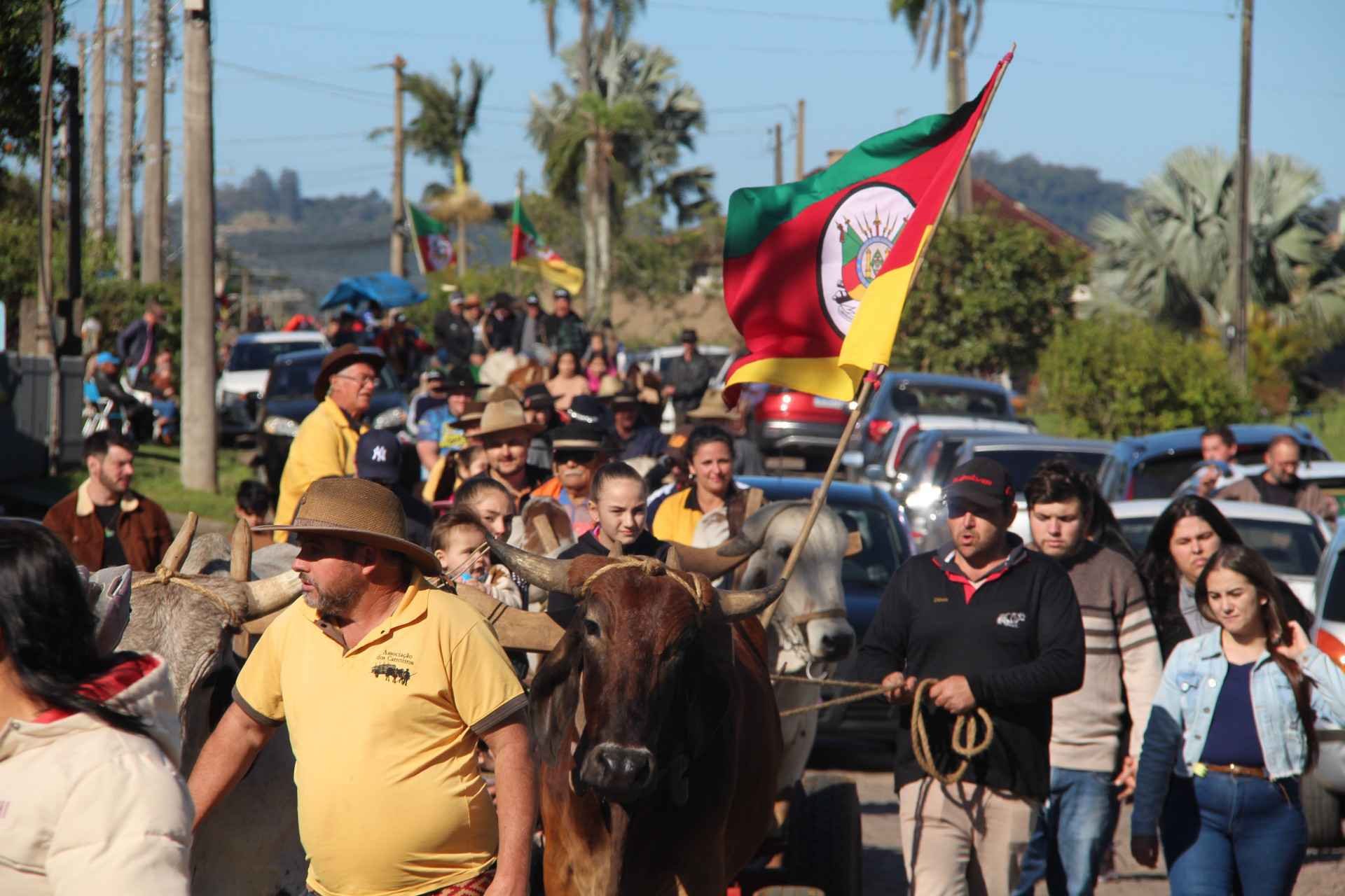 Búfalos de uma tonelada, bois e 302 carretas: Desfile reúne tradição e milhares de pessoas em Araricá