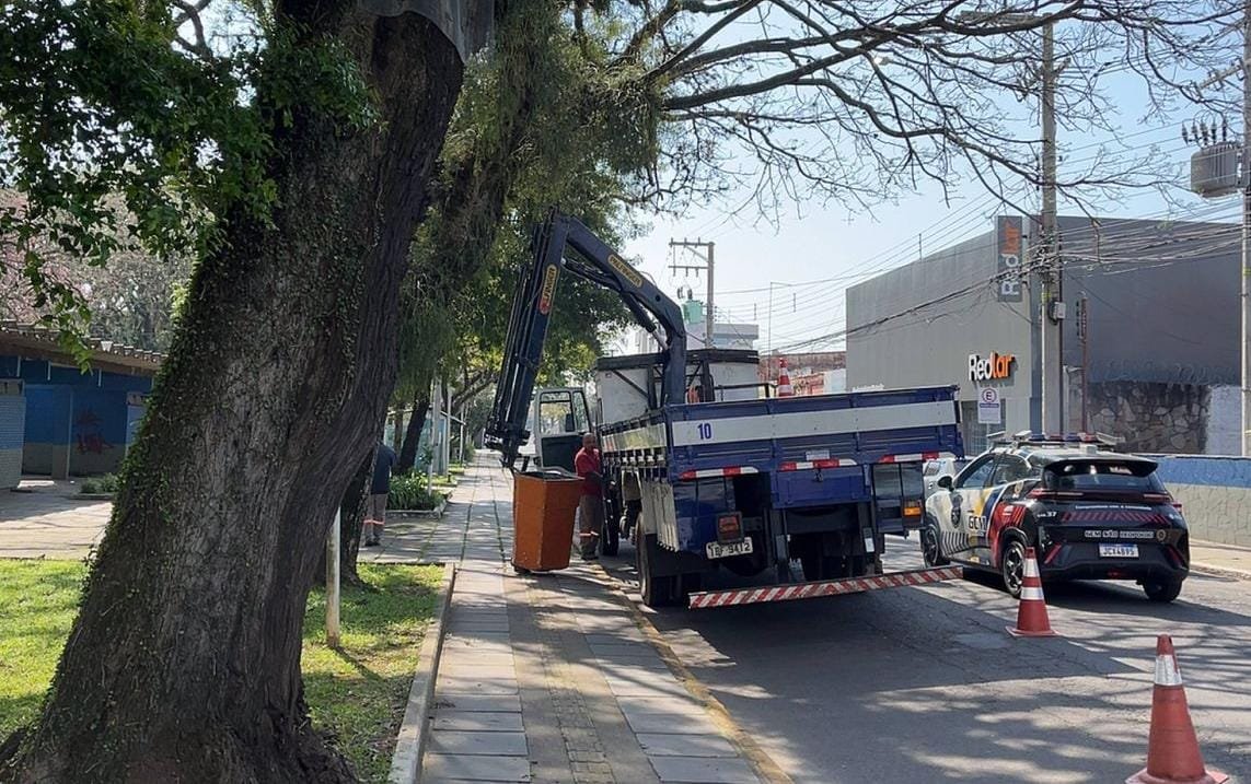 Árvores com risco de queda são removidas de pontos estratégicos em São Leopoldo