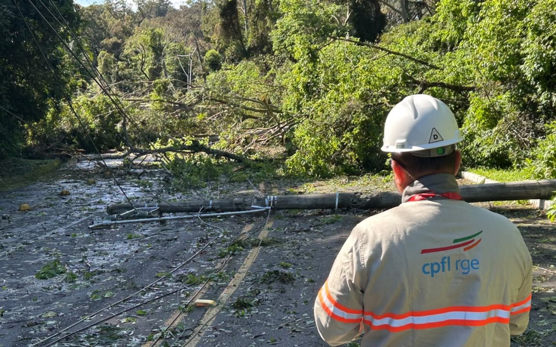 Estrada do Horto segue bloqueada entre São Leopoldo e Sapucaia do Sul após queda de árvores e postes durante tempestade