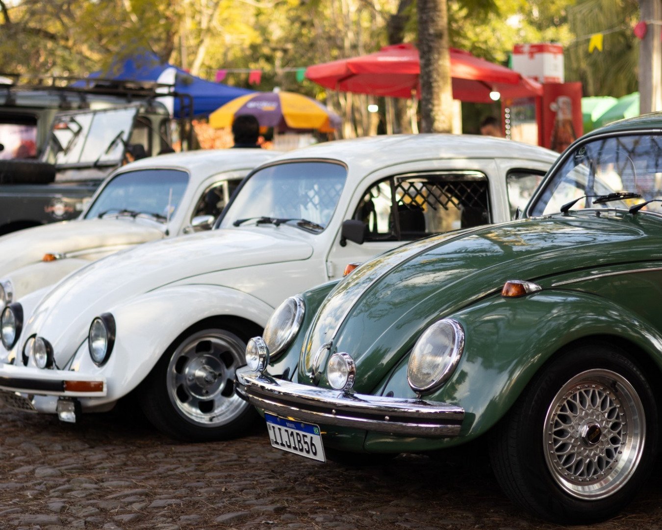 Museu do Trem, em São Leopoldo, terá exposição de carros antigos neste sábado
