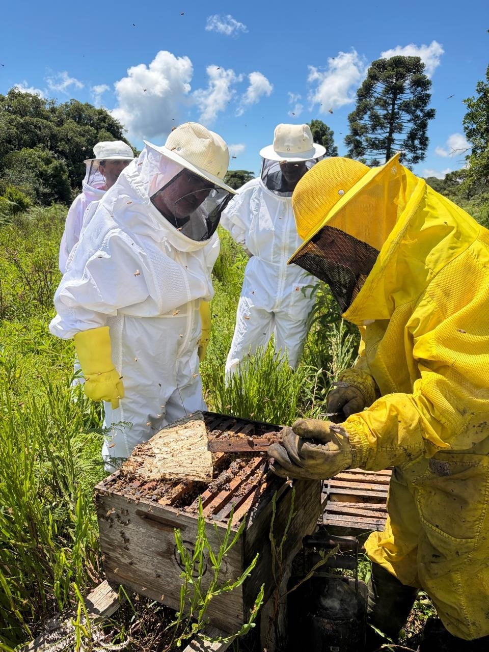 Ivoti recebe Congresso Gaúcho de Apicultura e Meliponicultura e Festival Cultura e Mel
