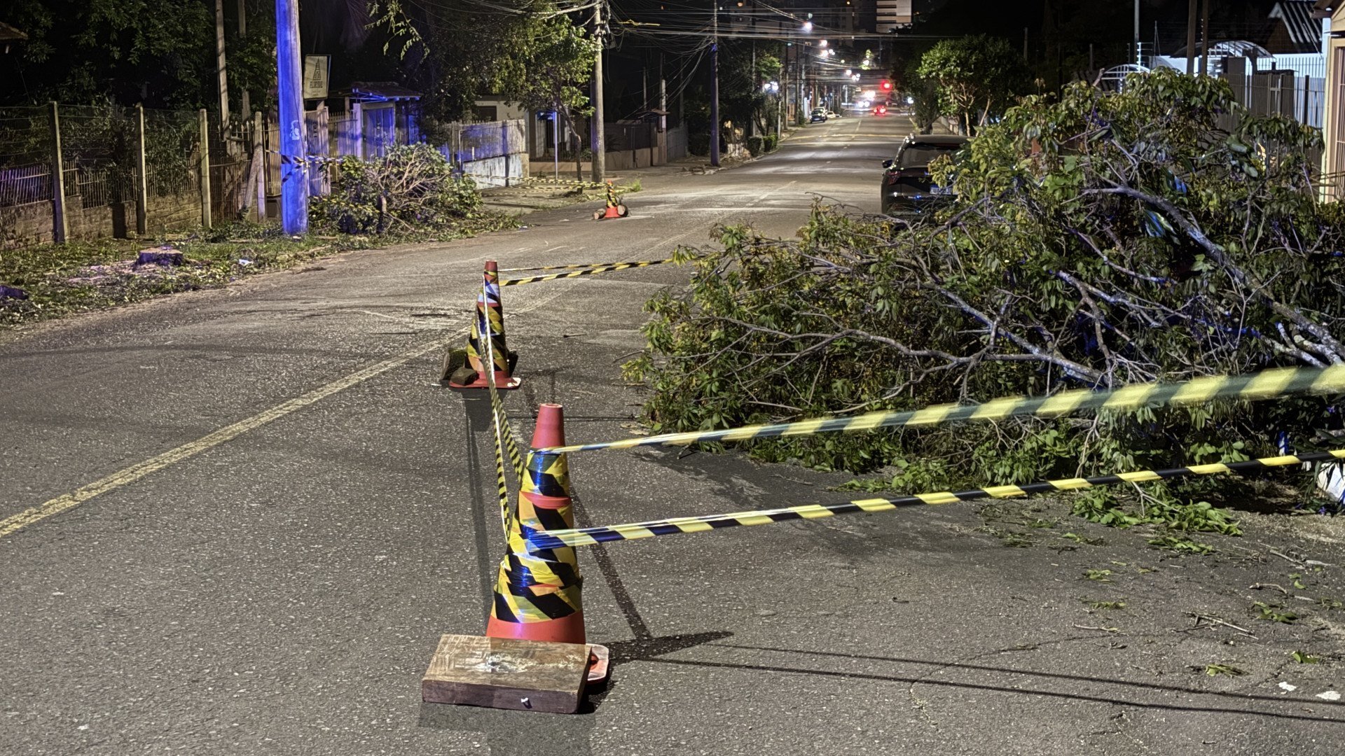 “Presenciei em 15 minutos quase três acidentes”: Árvore no meio da rua gera transtornos em Novo Hamburgo