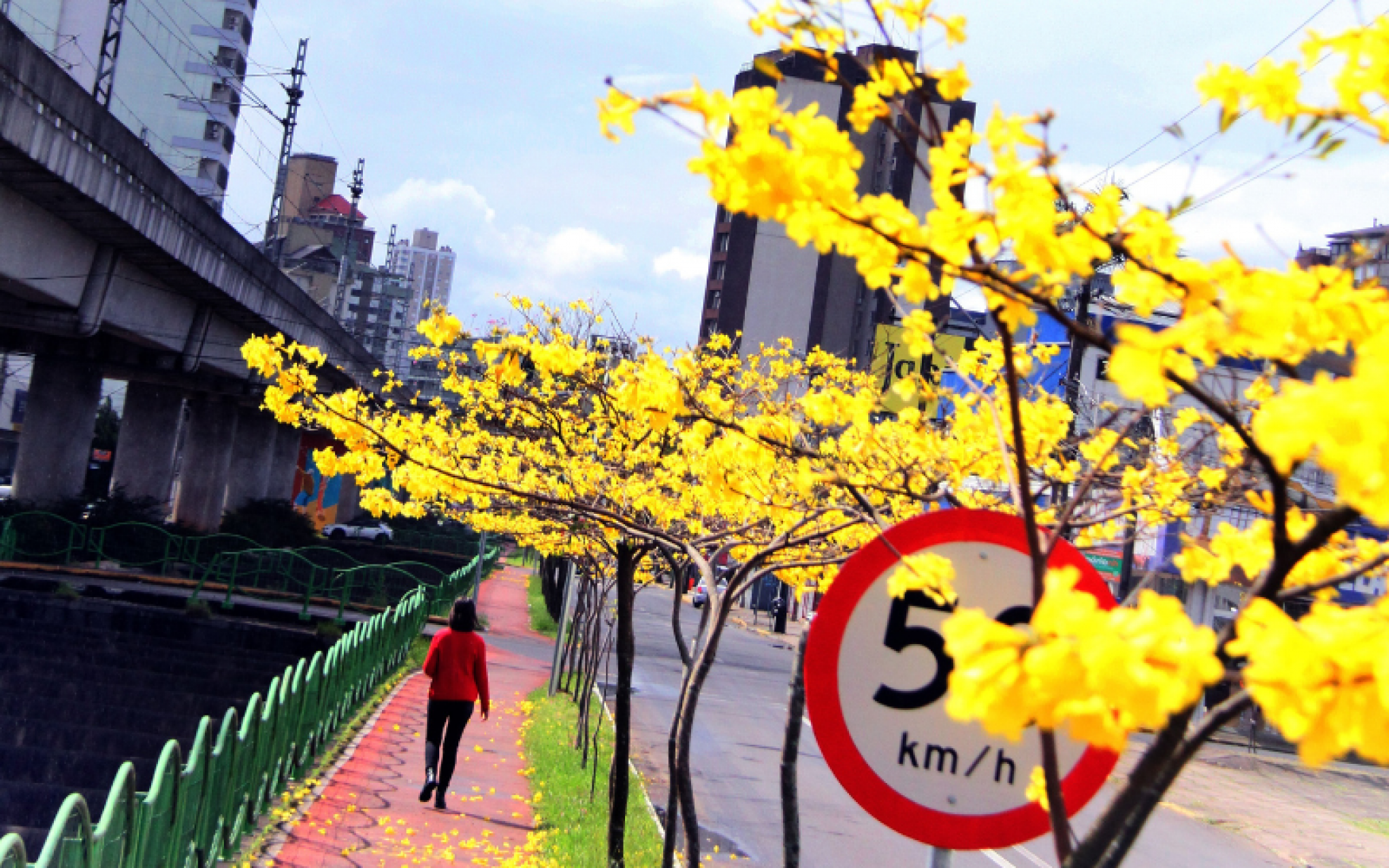 PREVISÃO DO TEMPO: O que esperar da primavera com formação do La Niña?