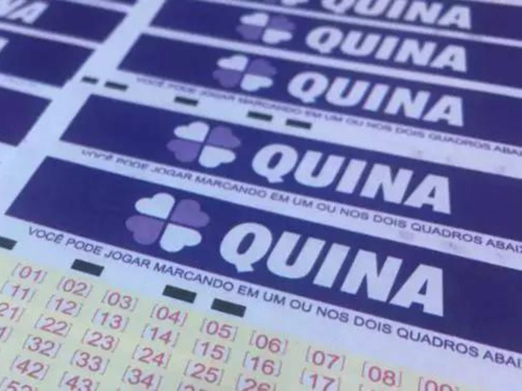 Quina: Aposte Online em nossos Bolões