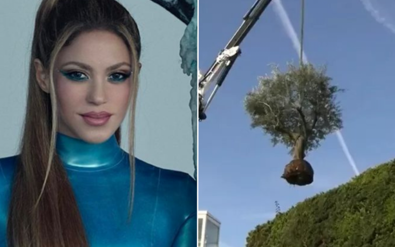 Shakira se muda para Miami e manda buscar árvore na casa em que morava com Piqué