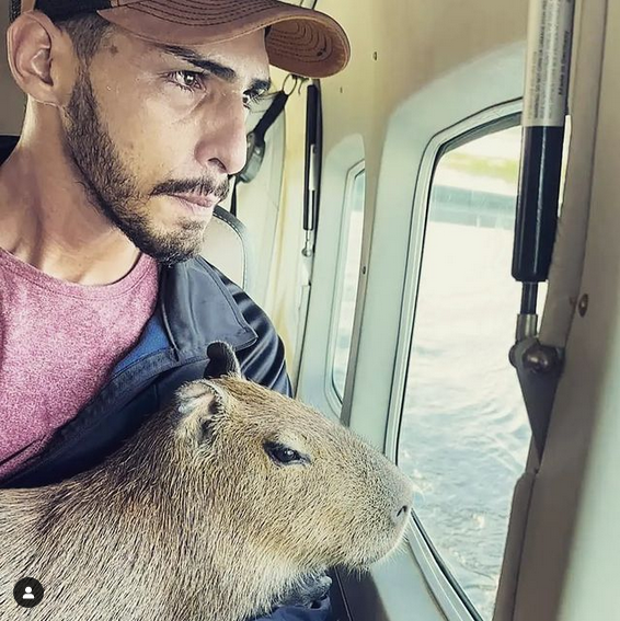 Influencer Agenor Tupinambá nega usar capivara Filó para ganhar dinheiro