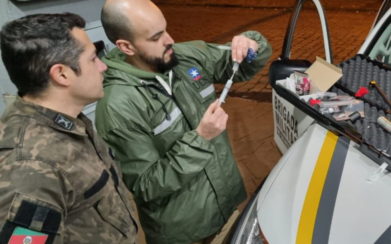 OnÃ§a-parda Ã© resgatada apÃ³s passar 11 horas no alto de Ã¡rvore em municÃ­pio da Serra gaÃºcha