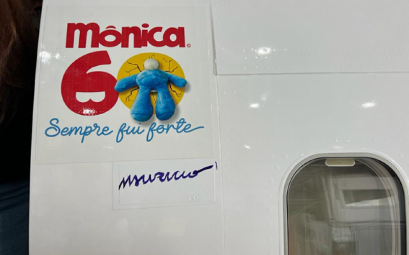 Avião da Turma da Mônica: veja fotos do Boeing da Gol - 17/07/2023 -  Turismo - Folha
