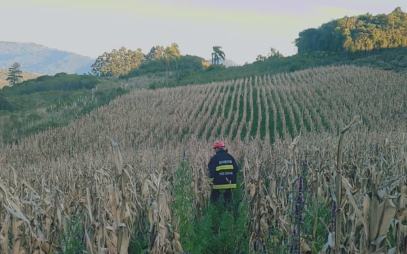 Idoso desaparecido hÃ¡ uma semana Ã© procurado na zona rural de TrÃªs Coroas | Jornal NH