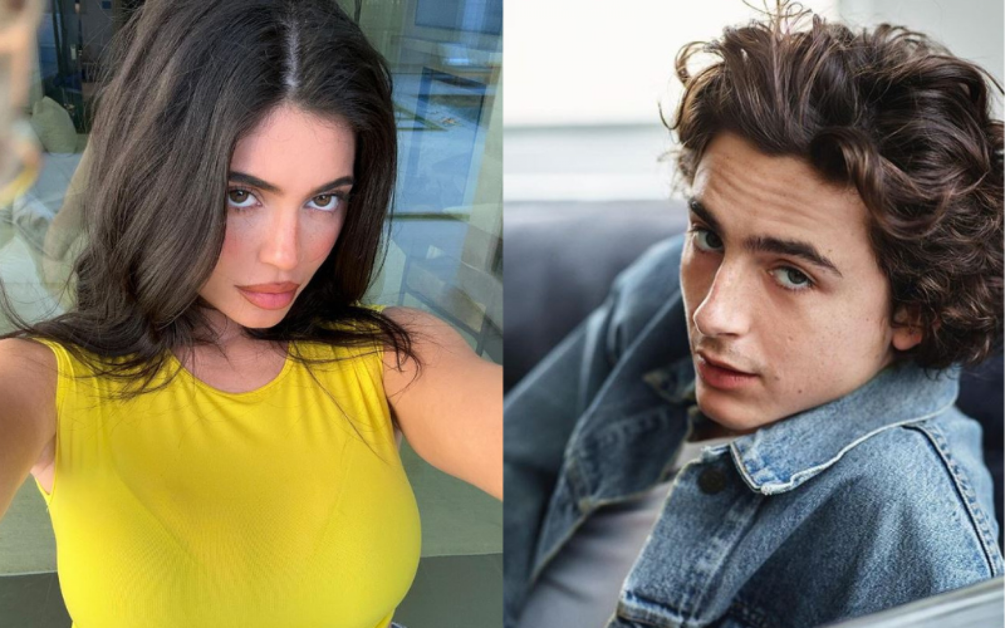 "Isso deve doer": Kylie Jenner e Timothée Chalamet terminam o namoro