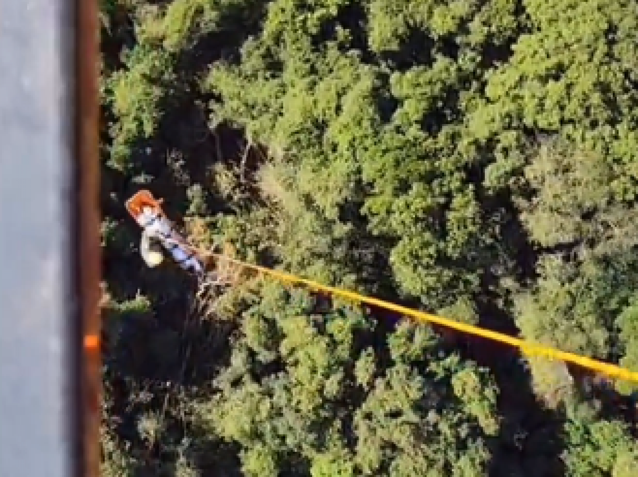 VEJA VÍDEO: Mulher é resgatada de helicóptero em trilha de local de díficil acesso