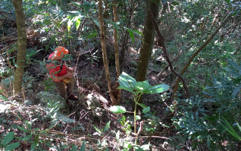 Buscas por idoso desaparecido sÃ£o feitas na zona rural de TrÃªs Coroas