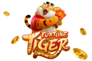 Qual a melhor hora para jogar Fortune Tiger? - Informe Especial - Jornal NH