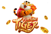 Sinais para fortune tiger VIP - SSSGAME