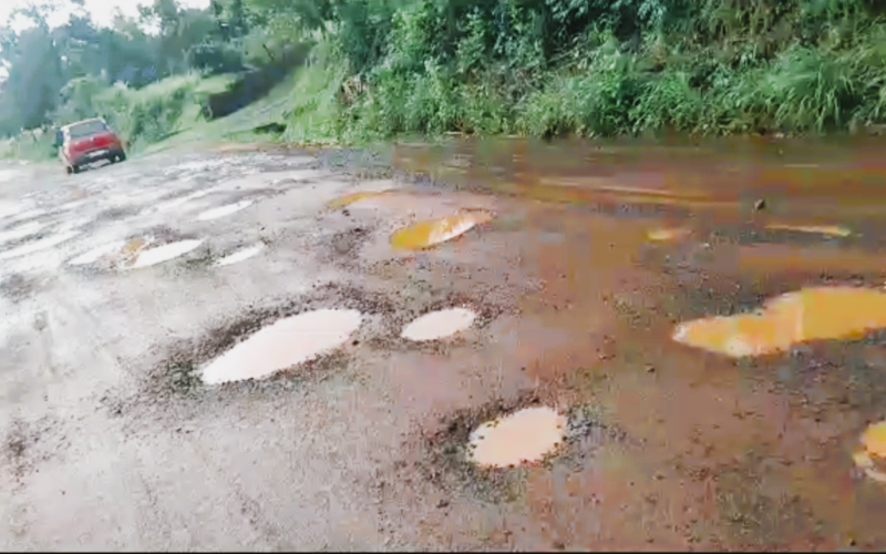 Moradores reclamam de estrada que parece "campo minado" em Novo Hamburgo: "Um buraco em cima do outro"