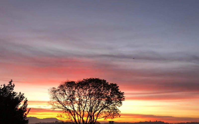 PREVISÃO DO TEMPO: Cidades gaúchas têm temperaturas abaixo de 5°C; veja como será o fim de semana | Jornal NH