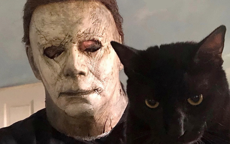 Michael Meowers foi adotado em 2019 por Nick Castle | Jornal NH