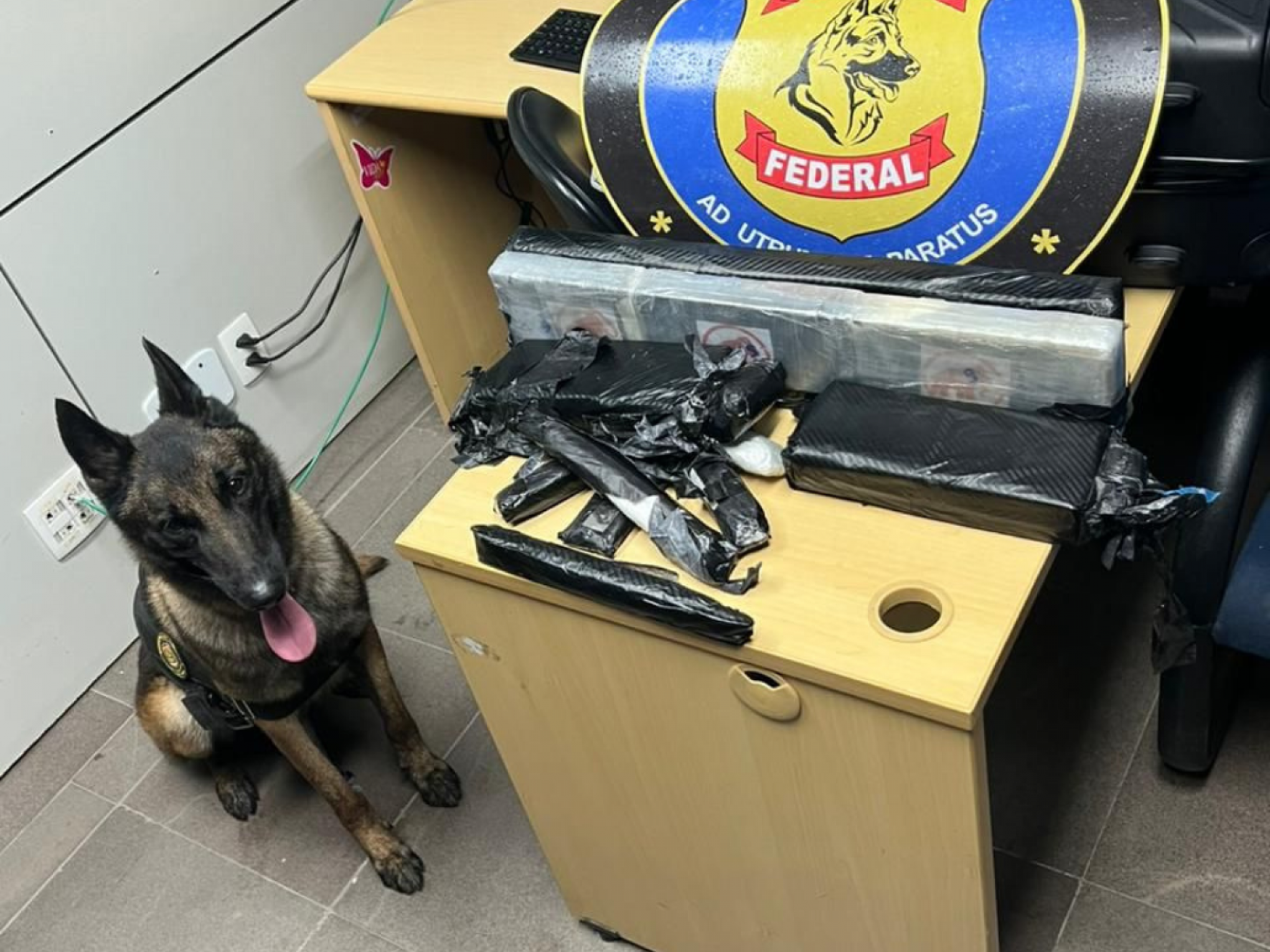 Mais um passageiro é preso com cocaína escondida na mala no aeroporto de Porto Alegre