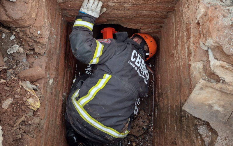 Filhote Ã© resgatado de dentro de bueiro pelos Bombeiros no Vale do Sinos