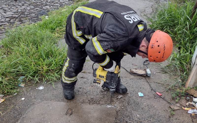 Filhote Ã© resgatado de dentro de bueiro pelos Bombeiros no Vale do Sinos