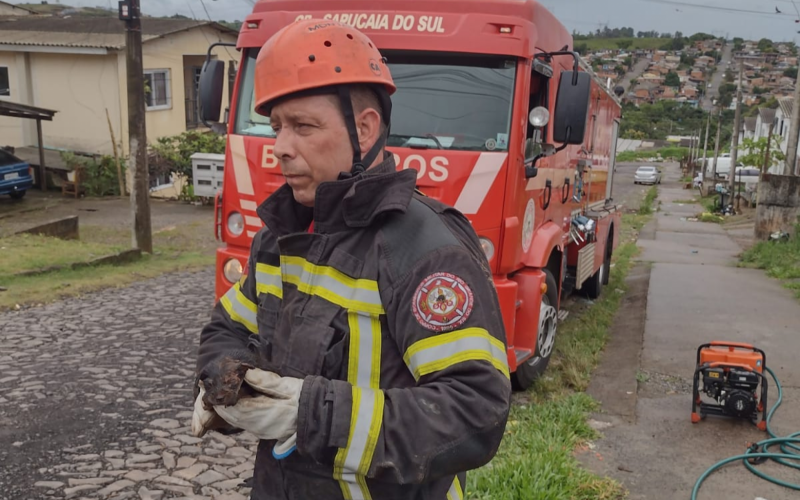 Filhote Ã© resgatado de dentro de bueiro pelos Bombeiros no Vale do Sinos