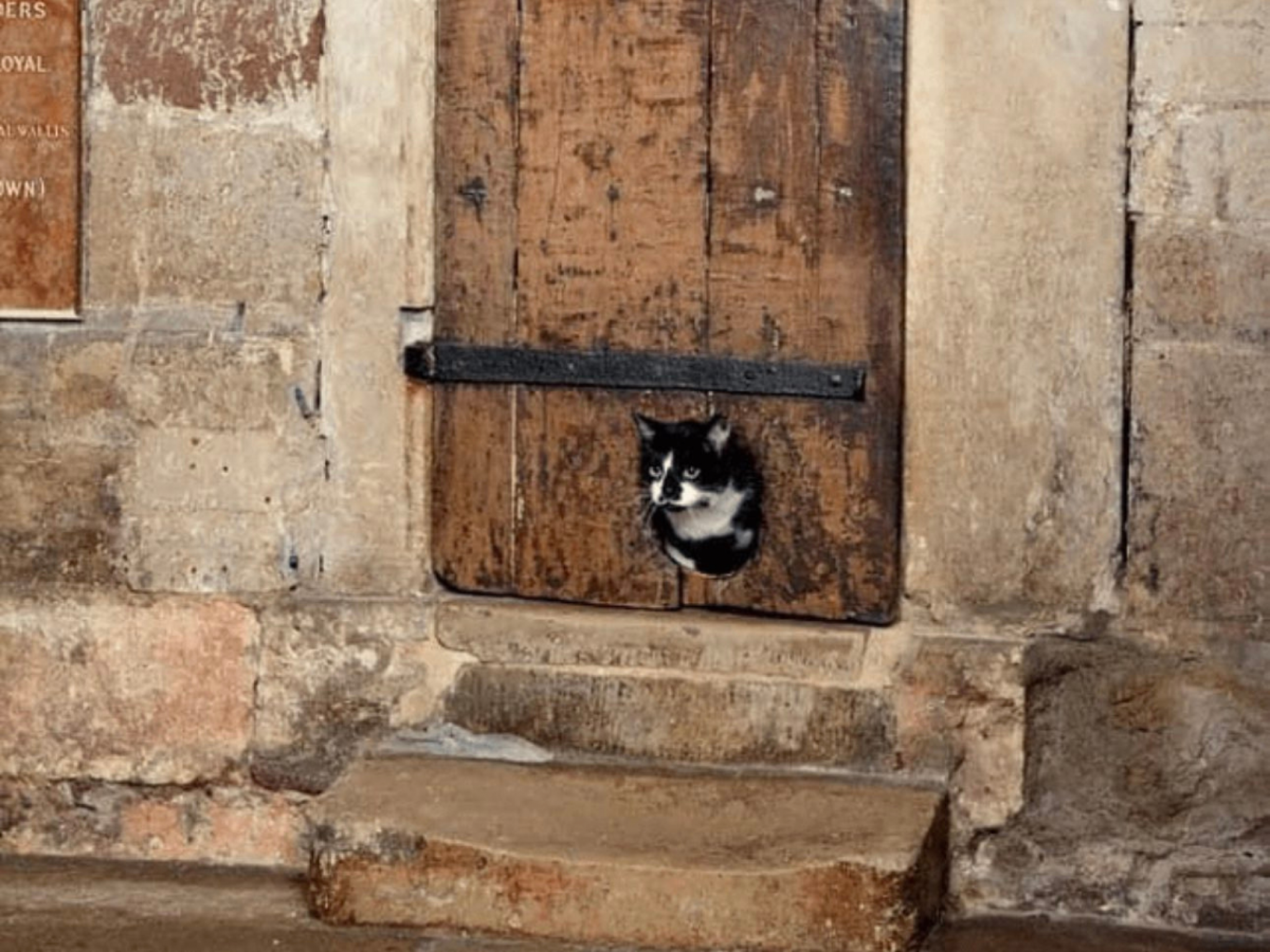 Porta de gato mais antiga do mundo pode ter mais de 400 anos - e ainda ser visitada; confira onde e como