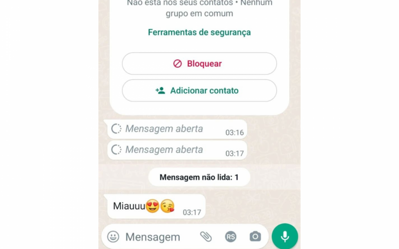 Prints das mensagens de ameaÃ§a recebidos pelas voluntÃ¡ria e advogada da ONG
