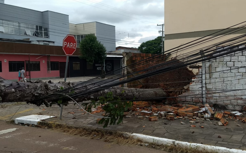 Em Canoas, Ã¡rvore cai sobre muro e bloqueia Rua VenÃ¢ncio Aires apÃ³s temporal