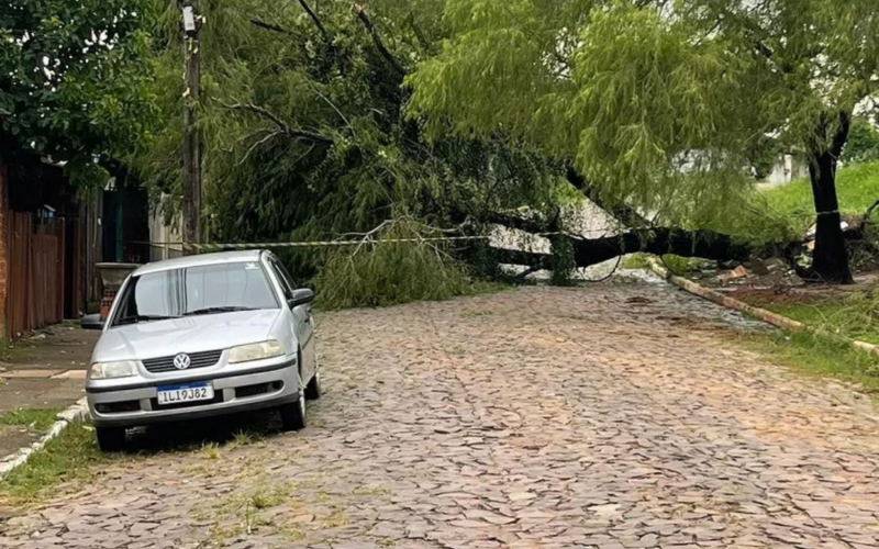 Ãrvore caÃ­da na Rua do Bosque