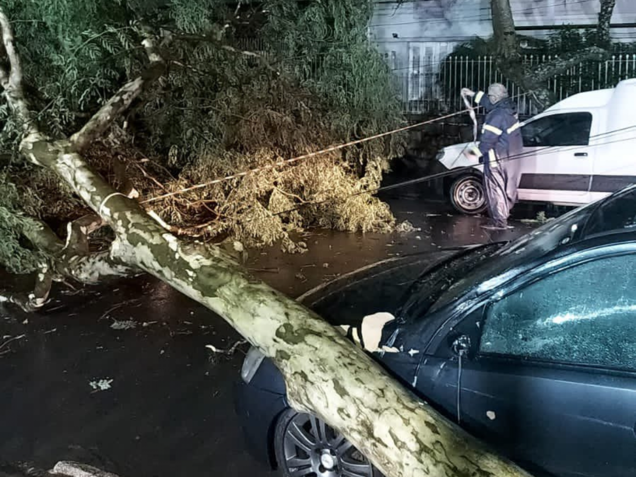 TEMPESTADE: Chuva com ventos de 89 km/h deixa rastro de destruição em Porto Alegre