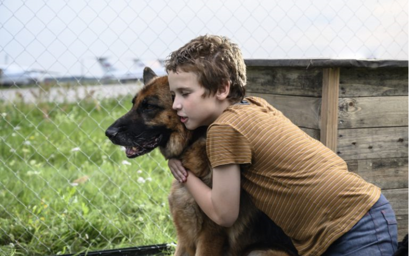 Globo exibe o filme filme Minha Amiga Palma na Sessão da Tarde  | abc+