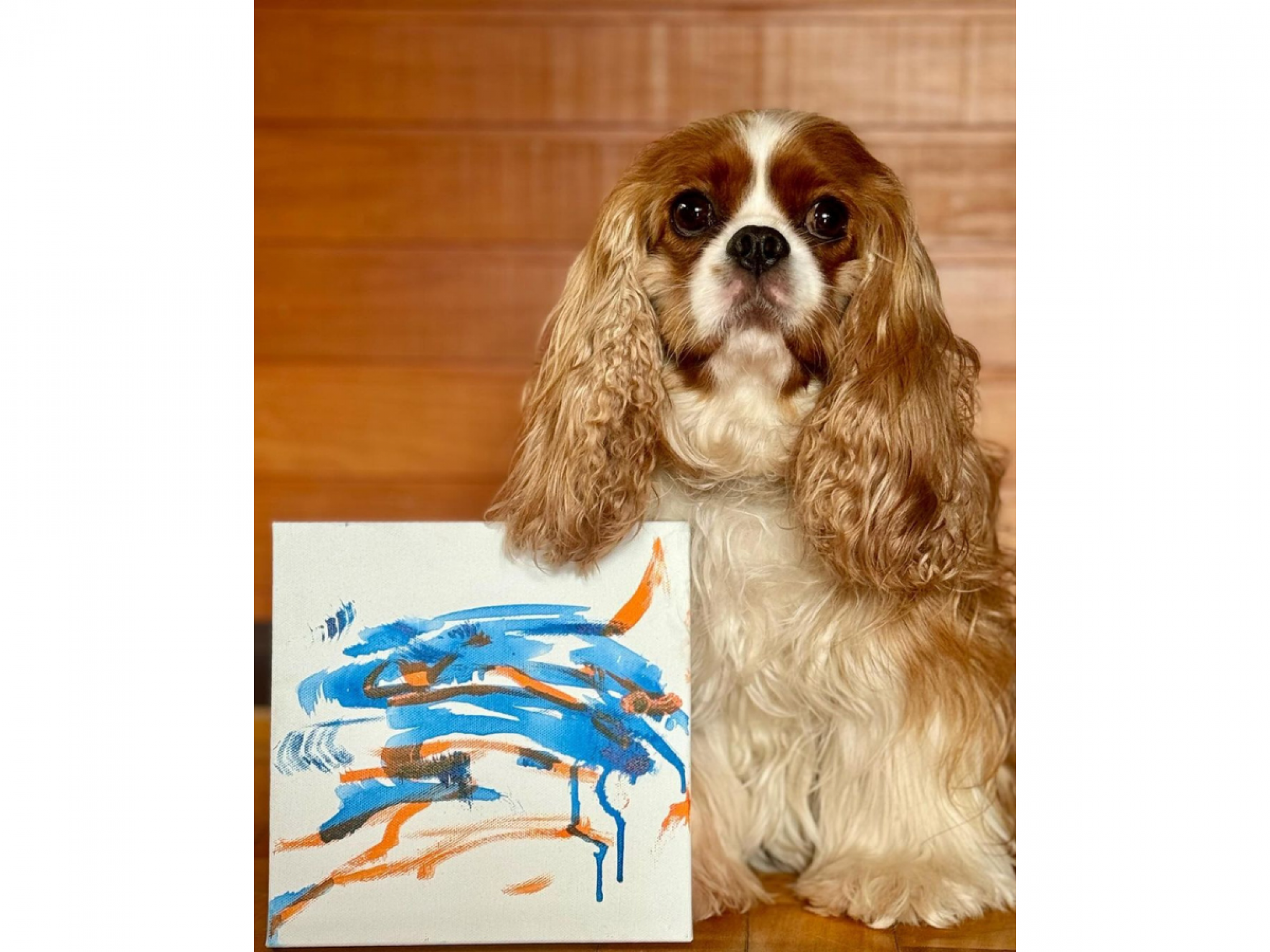 Conheça Georgia, a cachorra artista que pinta quadros no RS e que irá participar de exposição fora do País