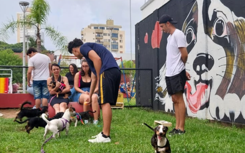 Encontro de Salsichinhas  | abc+