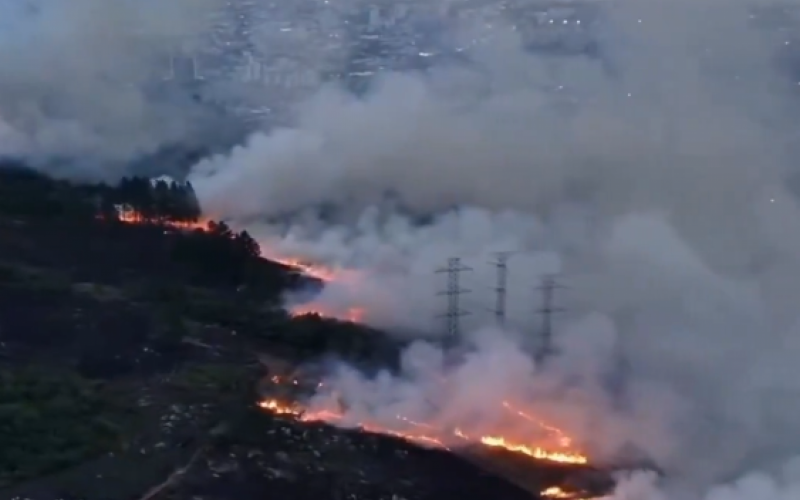 Incêndio de grandes proporções atinge área de vegetação em Porto Alegre | abc+